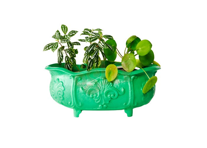 Planter with Shell Motif (40cm) Pots & Planters Green 