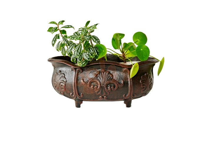 Planter with Shell Motif (40cm) Pots & Planters Rust 