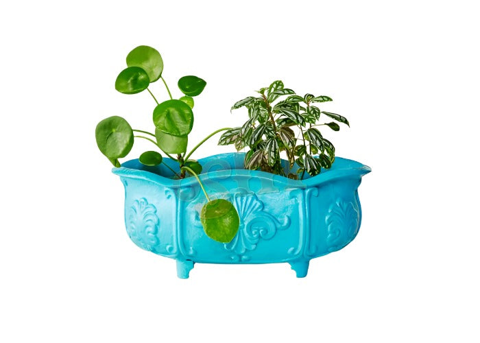 Planter with Shell Motif (40cm) Pots & Planters Teal 