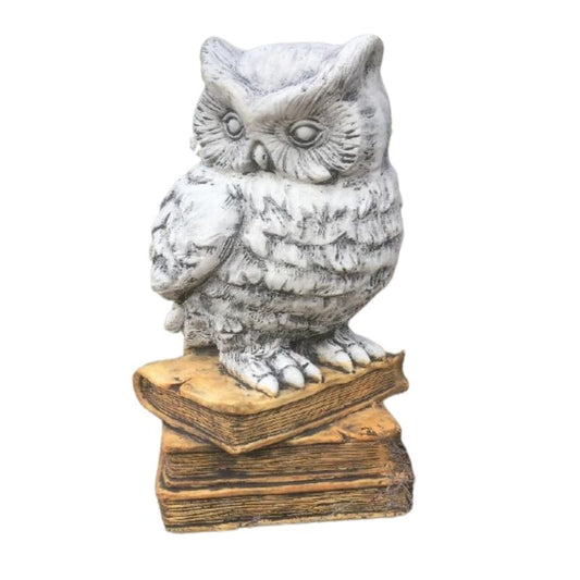 Owl On Books Statue  