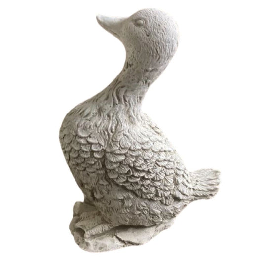 Duck Statue  