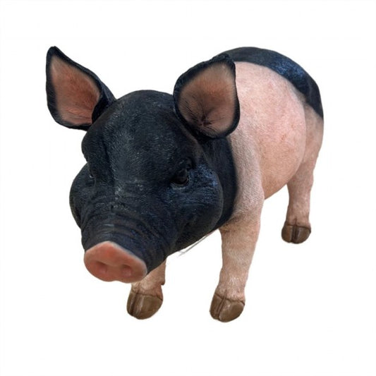 Resin Black Pig Statue