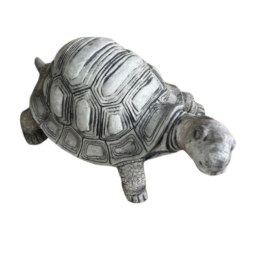 Turtle Statue  