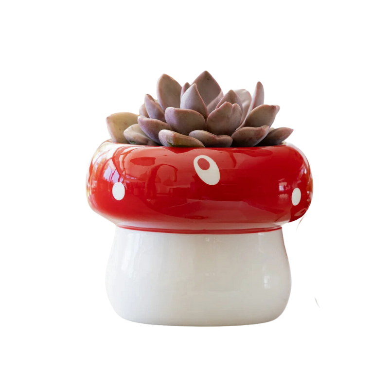 Mushroom Pot Pot Medium 