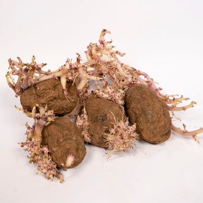 Vasili's Organic Pontiac Potatoes   