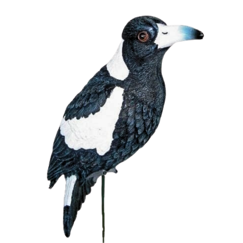 Magpie On Stick Statue Statue  