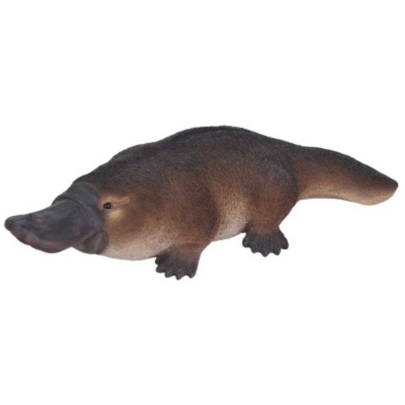 Platypus