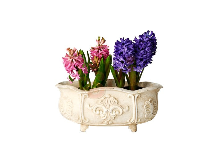 Planter with Shell Motif (40cm) Pots & Planters White 