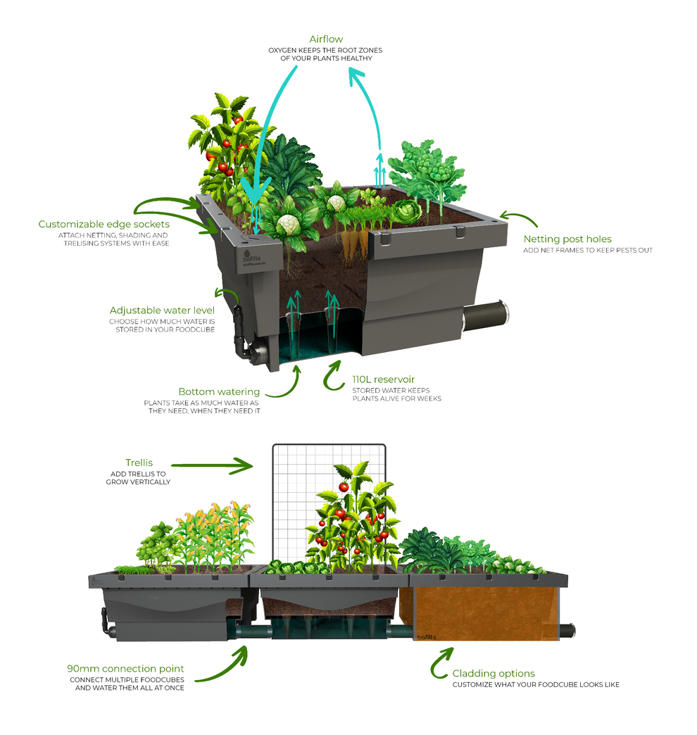 Foodcube Wicking Bed